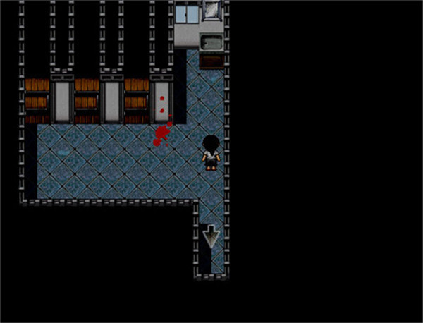 花子的失落日记 花子的失落日记