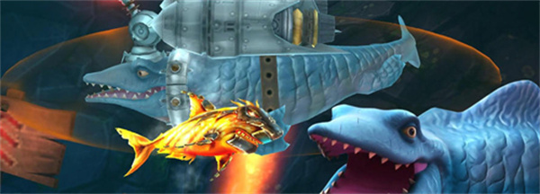 �����������˹����׿������