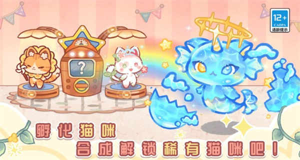 ����è����԰û�������