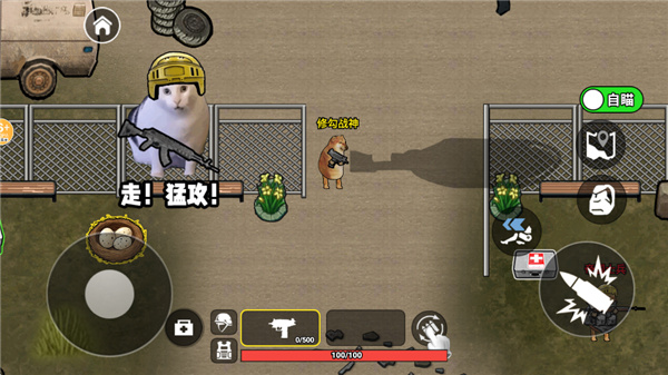 �޹��������������