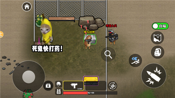 �޹��������������