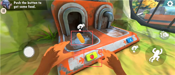 ����һֻ�����İ�����