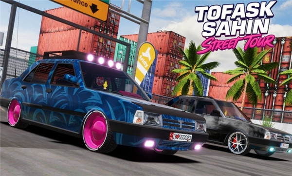 ��ʦ��ʻ��ͷ֮�ð�׿������v1.0