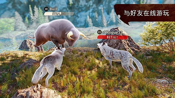 �����������°�2026����v4.3.1 ��׿��