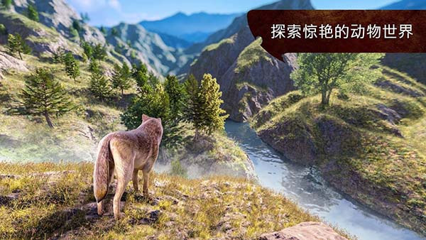 �����������°�2026����v4.3.1 ��׿��