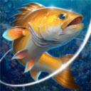 °v2.6.4 ׿