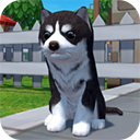 ZOOMv1.0.360 ׿