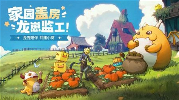 龙骑士学院官方正版