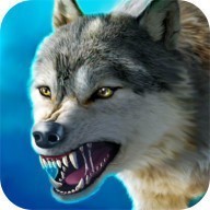 v2.2.4 ׿