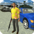 ʵv6.0.6 ׿