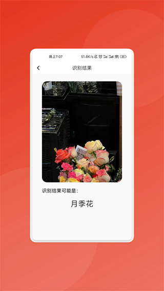 ʶv1.0.1 ׿