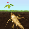 °v1.5.8 ׿