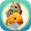 ҵĲv5.0.15 ׿