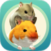 ҵĲv5.0.15 ׿