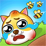 Ⱦȹ¼v1.0.8.7 ׿