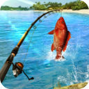Fishing Clashv1.0.346 ׿