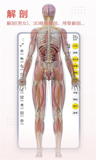3dbodyappѰv8.8.63 ׿