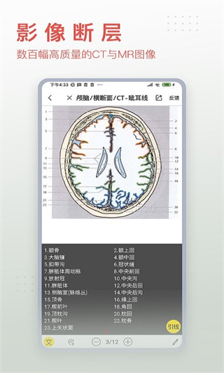 3dbodyappѰv8.8.63 ׿