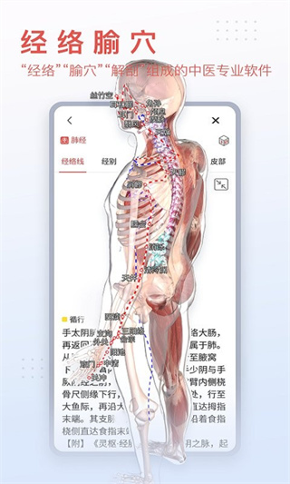 3dbodyappѰv8.8.63 ׿