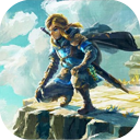 ֮amiiboﴫ˵v2.8.8 ׿