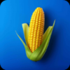 ҵũ׿v1.1.0