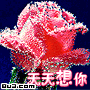 情人专用鲜花QQ表情-QQ表情