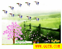 QQ Ϸ()