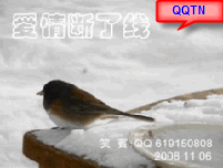  QQ