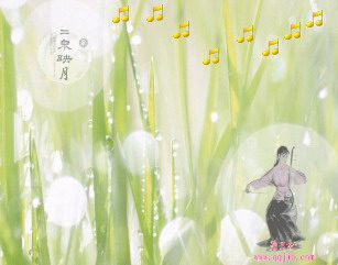 Ȫӳ QQ