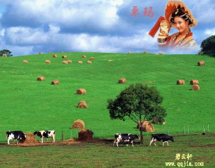 ׿ ҥ QQ