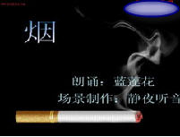 QQ ()