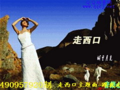  2009QQ