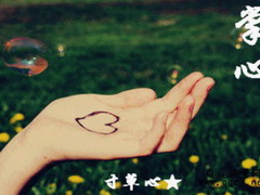 QQ 