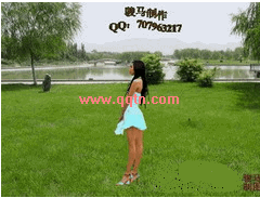  2009QQ