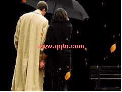 QQ ҵİ