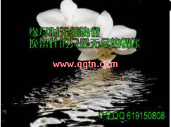 Ե 2009QQ