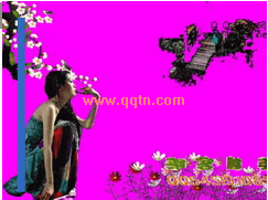Ҫ¸ QQ