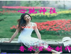 ĳ QQ