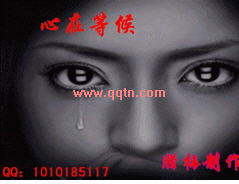 QQ ڵȺ