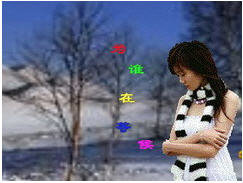 Ϊ˭ڵȺ QQ鳡