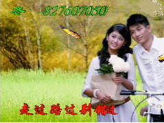 QQ ߹·