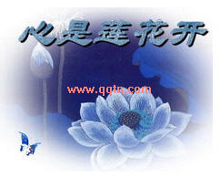  QQ